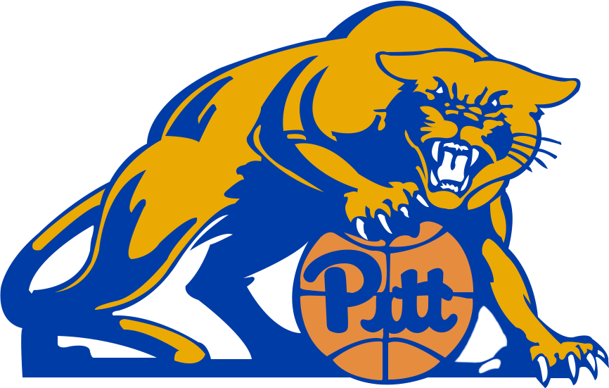 Pittsburgh Panthers 1994-1997 Secondary Logo diy iron on heat transfer